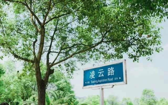 如何制定适合锦标赛的篮球训练计划_1